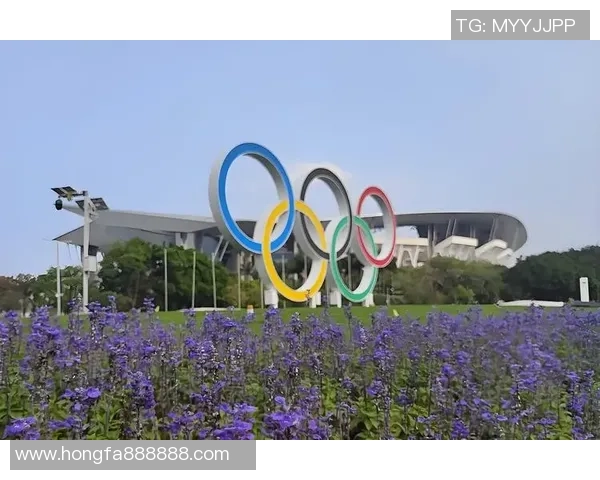 杭州网球队与西安网球队耐力较量赛后深度分析与反思